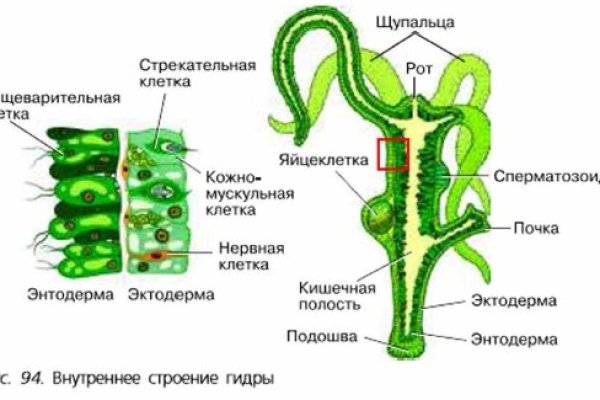 Kra15gl