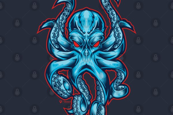 Kraken 24 top